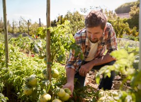 Una alternativa de sistemas agrícolas y alimenticios más sostenibles